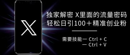 独家解密 X 里面的流量密码，复制粘贴轻松日引100+粉，精准迅速获客-颜夕资源网-第16张图片