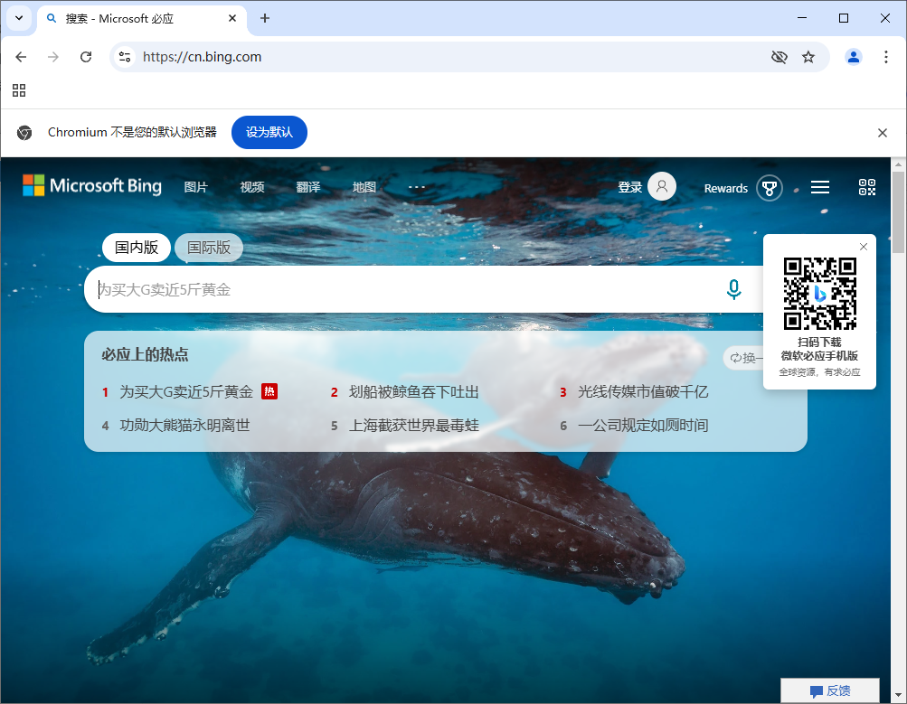 Ungoogled-Chromium v133.0.6943.98-1.1 中文绿色版-颜夕资源网-第16张图片