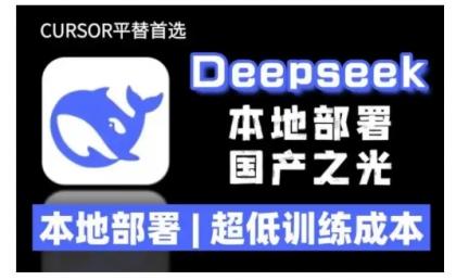 2025年deepseek R1 大型模型当地部署应用(文档 实例教程)本地部署，极低练习成本费-颜夕资源网-第15张图片