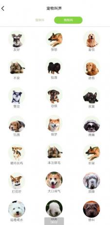 能和猫咪狗狗交流的宠物翻译器-颜夕资源网-第16张图片 能和猫咪狗狗交流的宠物翻译器-颜夕资源网-第16张图片