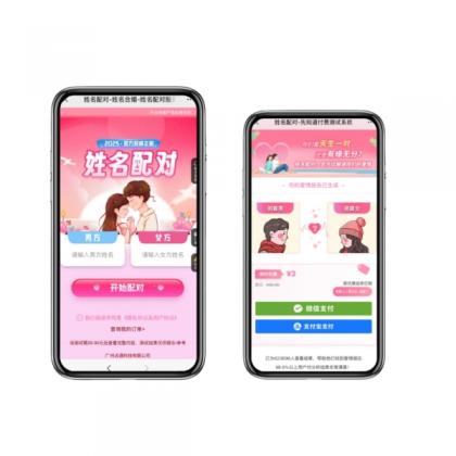 2025姓名配对测算最新源码-颜夕资源网-第16张图片