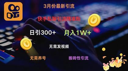 快手视频私信引流方法精准粉，当日奏效不用上传视频打金引流法日引300-颜夕资源网-第16张图片