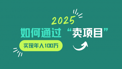 2025年如何通过“卖项目”实现年入100w-颜夕资源网-第15张图片