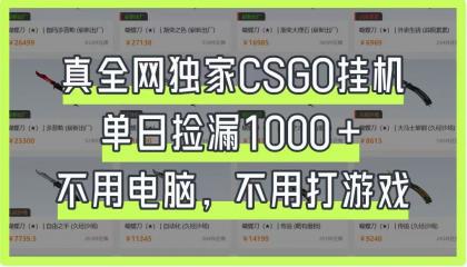 CSGO挂机，单日捡漏1000+，不用电脑，不用养号-颜夕资源网-第16张图片
