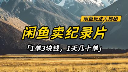 闲鱼卖纪录片，简单又赚钱的小项目，1单3块钱 1天几十单-颜夕资源网-第15张图片