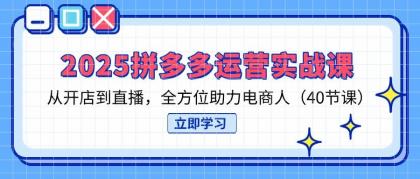 2025拼多多运营实战课，从开店到直播，全方位助力电商人（40节课）-颜夕资源网-第16张图片