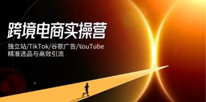 跨境电商实操营：独立站/TikTok/谷歌广告/YouTube，精准选品与高效引流-颜夕资源网-第15张图片