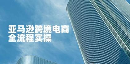 亚马逊跨境电商全流程实操,教你从零开始,掌握店铺运营与广告技巧-颜夕资源网-第16张图片 亚马逊跨境电商全流程实操,教你从零开始,掌握店铺运营与广告技巧-颜夕资源网-第16张图片