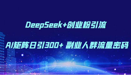 DeepSeek+创业粉引流 AI矩阵日引300+ 副业人群流量密码-颜夕资源网-第16张图片