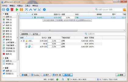 qBittorrent(强大的BT下载工具)v5.1.0.10中文绿色增强版-颜夕资源网-第16张图片 qBittorrent(强大的BT下载工具)v5.1.0.10中文绿色增强版-颜夕资源网-第16张图片