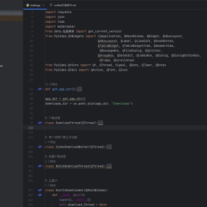 【Windows】抖音去水印工具v1.0.8-颜夕资源网-第16张图片