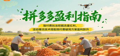 拼多多盈利指南：强付费玩法挖掘流量红利，活动爆流技术搭配微付费方案实现盈利跃升-颜夕资源网-第16张图片