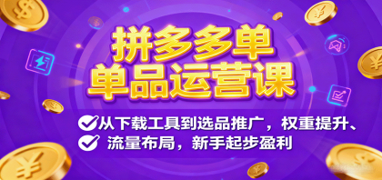 拼多多单品运营课，从下载工具到选品推广，权重提升、流量布局，新手起步盈利-颜夕资源网-第16张图片