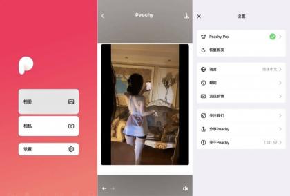 peachy抠图、P图、滤镜解锁会员版-颜夕资源网-第16张图片