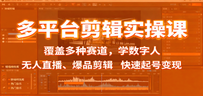 多平台剪辑实操课：覆盖多种赛道，学数字人、无人直播、爆品剪辑，快速起号变现-颜夕资源网-第16张图片
