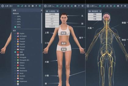 人体系统女性3D-1.0详细介绍女性全身系统~无广版-颜夕资源网-第16张图片 人体系统女性3D-1.0详细介绍女性全身系统~无广版-颜夕资源网-第16张图片