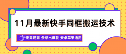 11月最新快手同框搬运技术，无需混剪 条条出爆款 安卓苹果通用-颜夕资源网-第16张图片