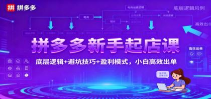 拼多多新手起店课:底层逻辑+避坑技巧+盈利模式,小白高效出单-颜夕资源网-第16张图片 拼多多新手起店课:底层逻辑+避坑技巧+盈利模式,小白高效出单-颜夕资源网-第16张图片