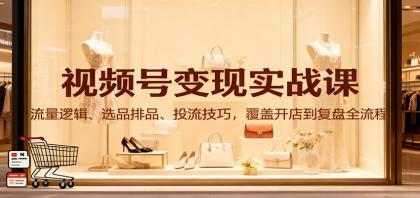 视频号变现实战课：流量逻辑、选品排品、投流技巧，覆盖开店到复盘全流程-颜夕资源网-第16张图片