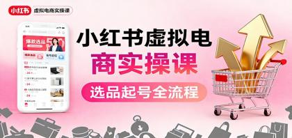 小红书虚拟电商实操课：选品起号+AI 内容创作+店铺运营+引流私域+自动化发笔记-颜夕资源网-第16张图片