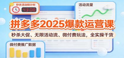 拼多多2025爆款运营课：秒杀大促、无限活动流、微付费玩法，全实操干货-颜夕资源网-第16张图片
