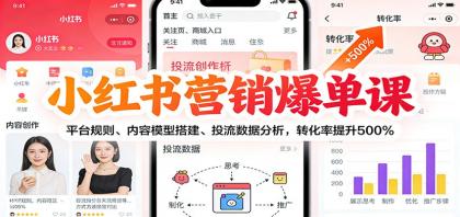 小红书营销爆单课：平台规则、内容模型搭建、投流数据分析，转化率提升500%-颜夕资源网-第16张图片