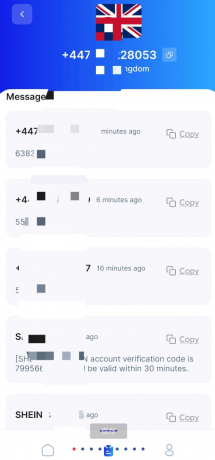 临时手机号接收验证码，适用于注册国外软件等场景-颜夕资源网-第16张图片