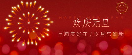 每年新年必火的红利项目，视频号祝福类视频玩法，多种变现月入万元！-颜夕资源网-第15张图片